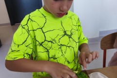 IMG_20260617_094653