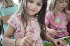 IMG_20260617_094712