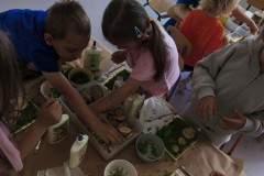 IMG_20260617_095322