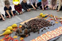 85a3e1ef-b973-4871-a3cc-01696c6f3272