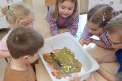 4c37ef64-2c7e-4c4d-b907-2bbe4c92e3bf