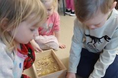 6f6cf33d-3fe6-478a-8f9c-85c39433fba9