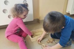 a2f203a3-e721-4ece-8721-268692a4cbf8