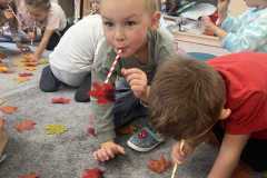 552276316_1812819559327955_3476022500875970328_n