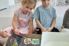 553329820_790862600590025_2206149415538124931_n