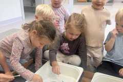 555806157_813888511354853_6157162907889297087_n