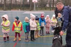 61259945-3c1a-4460-a380-a03bb27ec63d_2_11zon