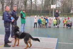 954b401e-5d15-4069-9569-e212fbe18ee6_1_11zon