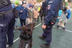 433450880_903212968208145_6315060310712726856_n