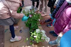 IMG_20250519_100932