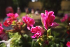 IMG_20250519_103312