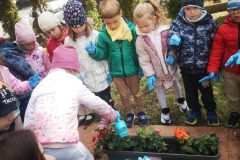 IMG_20250519_110302