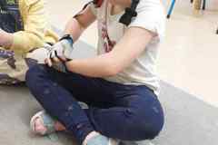 e9886b43-8897-4c46-9392-4ade4cbebead