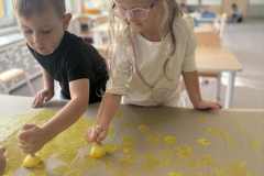 b0072c97-90a7-4436-af25-209bddfd242a