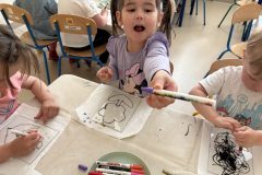 IMG_2567