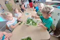 f629f467-e809-4b5f-a64e-3ca9fe1be5d5