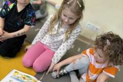 489909467_703350582115887_5571633494456379700_n