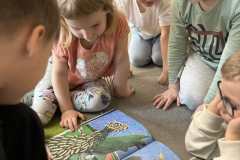 490996625_1090871063073074_1562089056532660482_n