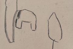 IMG_20250228_153237