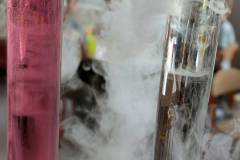 IMG-20261008-WA0005