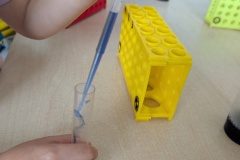 PXL_20261008_113344028