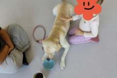 att.iloqXXRw18GkMOh1zmTNGI5SNynaVW-Q6v5KV1XhgQ8