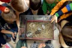 3141b80b-42fe-49db-8e0d-1df4f58768c1