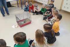 358c856f-76c6-44c4-a76c-5fe435697fab