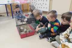 4fc552bf-b08a-43cc-b312-c96cd1361f60