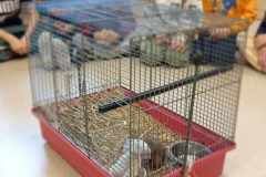 b5b4f7d9-57bd-4430-adf5-3d8ba310b092