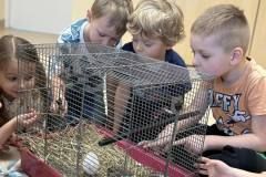 429815773_1148364066587184_8128041955046246536_n