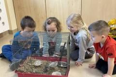 429828838_2123523677993173_1294128531079540178_n