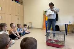 430495479_271227329351381_6082947825375141818_n