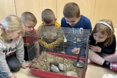 430858676_1752929865185585_8260085712897749385_n