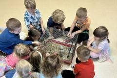 431137821_7162598750476181_3206973791826067711_n