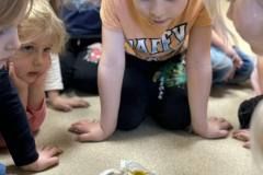 431172637_289073837362597_2658296365926212633_n