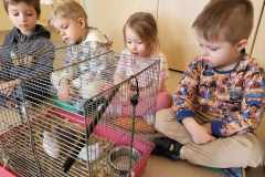 received_1429499041018253