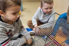 received_1448495072410108