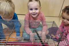 received_203378872868848