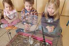 received_790031319120676