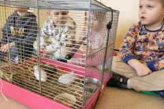 received_942993047230639