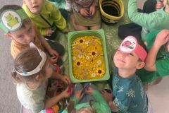 e61d5f0cf914746f128ff8a9510f2458