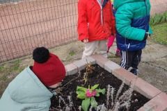 8daedacd-c703-4c6b-9a7e-c44712b2241c_2_11zon