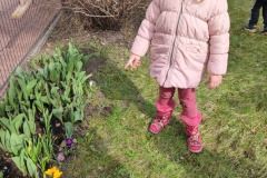 bb2a1c93-13ec-45ba-85d4-f1743616d6d9_7_11zon