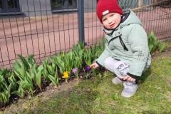 ec799113-d45d-4c24-8ad5-efd07bc351a4_10_11zon