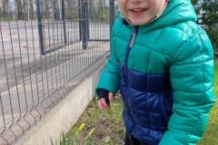 f11f11ce-c968-402e-8a77-8f1e71eafc24_13_11zon