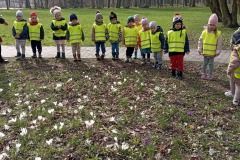 9554c266-6adf-43e4-88bb-3e11f58fa10f_2_11zon