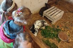 IMG_20250522_103552