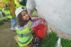 IMG_20250522_111832