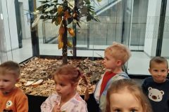 IMG_20251022_100637